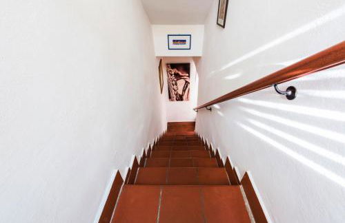 Frugo's House - Foto 18