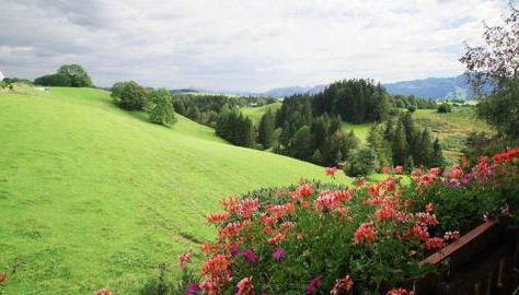 Haus Bergblick - Foto 4, Garden view