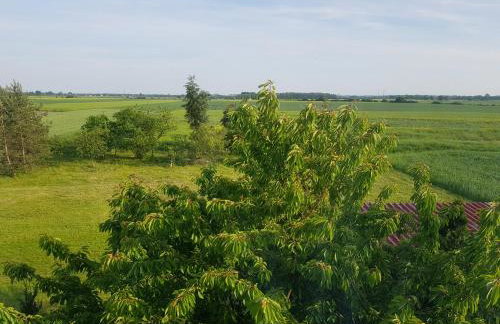 Silence Villa - Foto 22