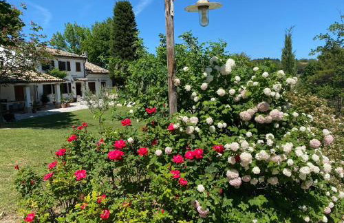 Casa Sant Angelo - Photo 14