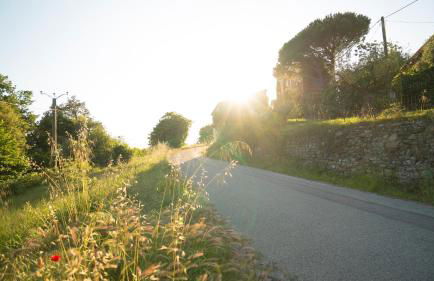 Maison Hameau De La Mourre (La Garde-Freinet) - Foto 15