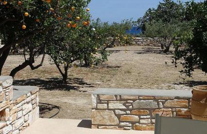 Flora Apartments - Photo 11