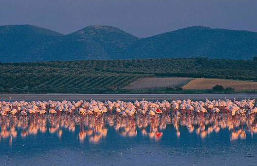 Apartamento María Mendoza - Foto 24