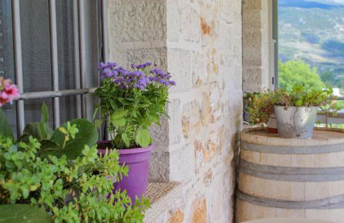 Stone Home & Vineyard - Foto 10