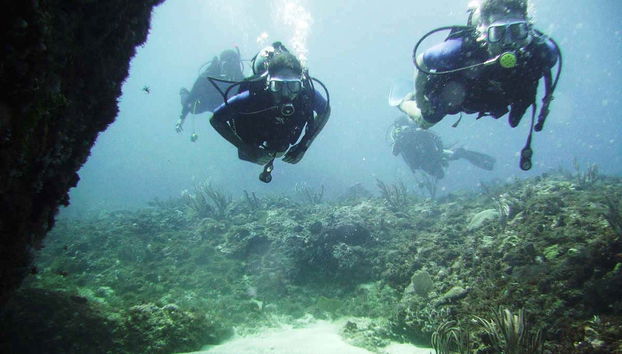 Plongée à Portobelo - Photo 2