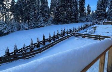 Dom na Zielonym Wzgórzu z własną Sauną i Jacuzzi - Foto 37