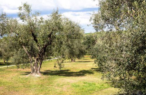 Agriturismo Poggio Degli Ulivi - Foto 35