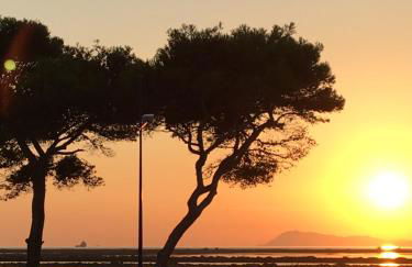 Le Club des Cigales - Foto 71