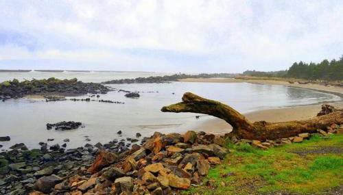 Tiki Escape w/ Amazing Mountain and Marsh Backdrop - Foto 4