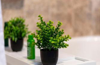 LunaVista's Cozy Corner, 1B&1Bth - Foto 21