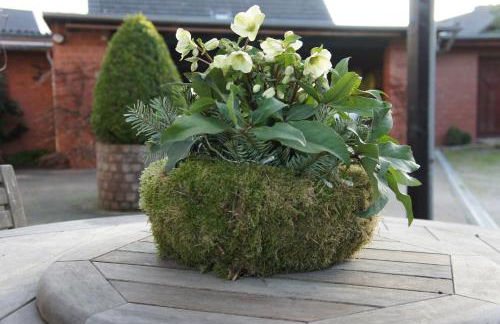 Ferienwohnung Pöttershof - Foto 24