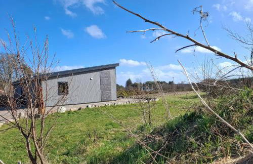 Red Squirrel - Photo 12