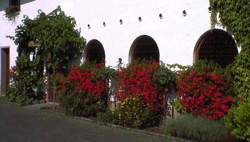 Weingut Arnold Pauly - Photo 3