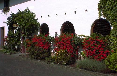 Weingut Arnold Pauly - Foto 3