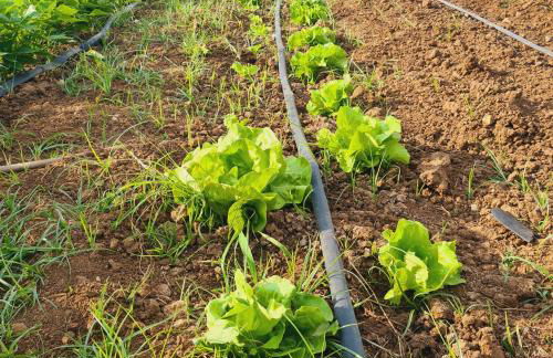 A un Passo dal Tramonto - Foto 26