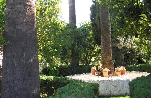 Finca La Favorita- Suites - Foto 72