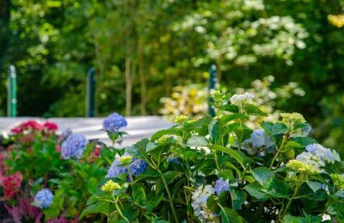 Ferienhaus am Wappach - Foto 10