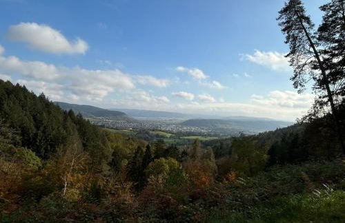Panorama-Auszeit in Trierweiler - Foto 44