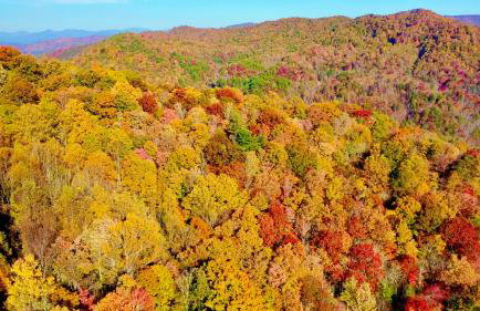 Windows Over Waterfalls - Foto 19