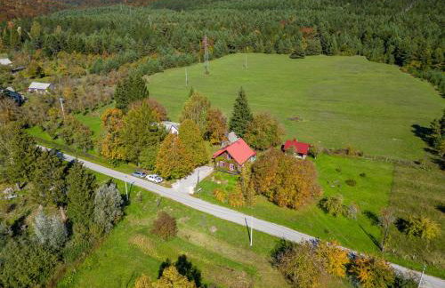 Magnus Lupus - Foto 37