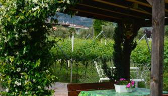 La Casa nel Verde - Foto 2, Garden