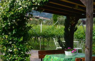 La Casa nel Verde - Foto 2