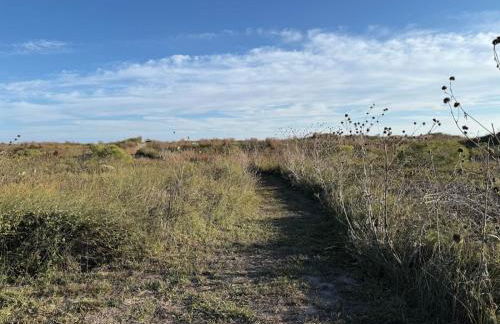 Paloma Beach House - Foto 32