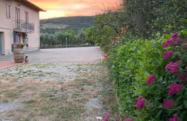 Le Coccole Del Trasimeno - Foto 23