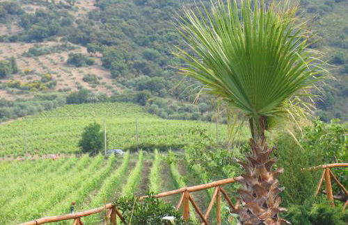 Antica Tindari - Foto 10