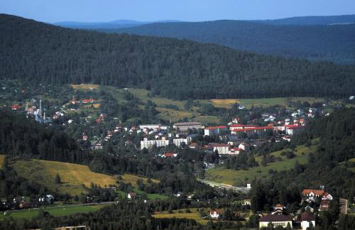 Gawra Gustawa - Foto 32