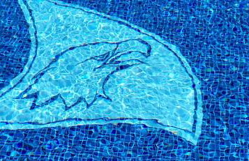 Ostoja Orli Dziób B2 - Foto 40