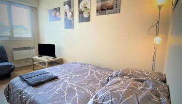 Appartement double à Limoges - Foto 5