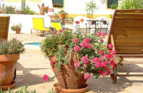 Ninho Da Poupa - Foto 62