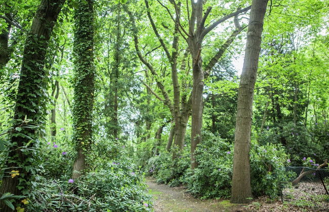 Westmalle Forest Garden Home - Foto 24