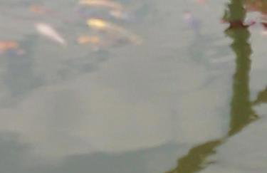 Gospodarstwo agroturystyczne - Foto 43