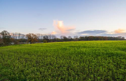 Hailes - a newly converted barn on our farm between Stratford upon Avon and the Cotswolds - Foto 6