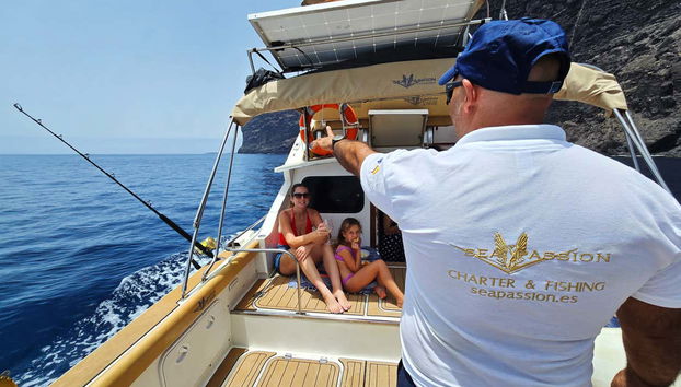 Aprenderemos tudo sobre golfinhos