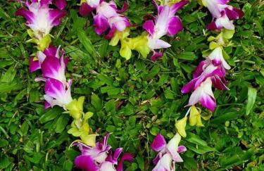 Unique Lava House by steaming crater - Photo 43