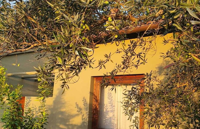Unique Countryside Loft Room, Near Naples - Foto 21
