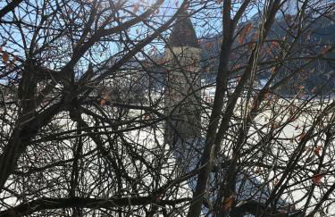 Residence Dilitz - Foto 10