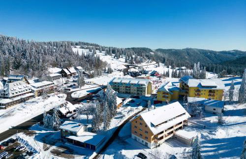 Wiesenquell Apartment Feldberg - Foto 39