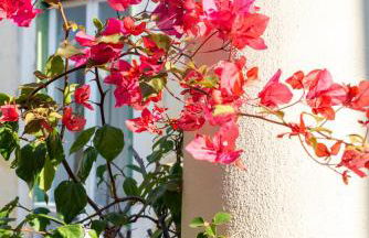 Piazza Dante CASA DI GIO' - Photo 42