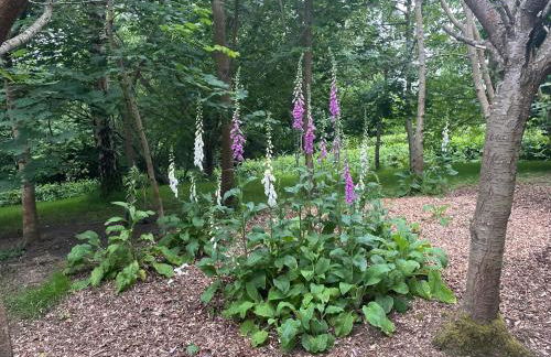 Orchard Barn next to Bewl Reservoir, Ticehurst - Foto 13