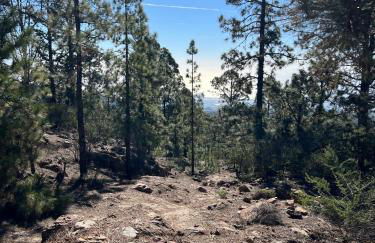 Casa Vacacional Bevi - Tenerife Norte - Foto 30