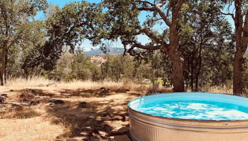 Yosemite Boho Bungalow, Pet Friendly & Mtn Views! - Foto 4