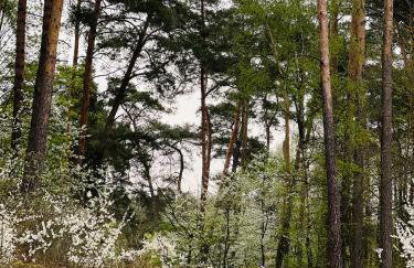 Apartament Jerzyn - Foto 44