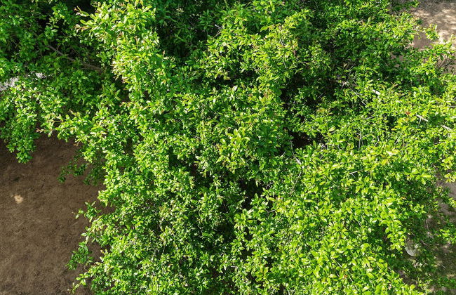 Lux Airport Apartment - Foto 22