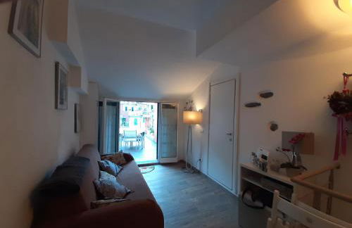 Pepita di Rio - Foto 15