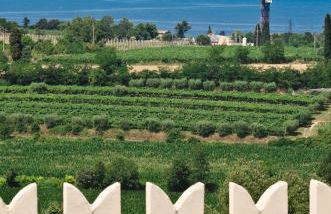 CasaBiondani Colà - Foto 8