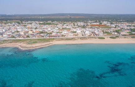 Il Fenicottero - Foto 1